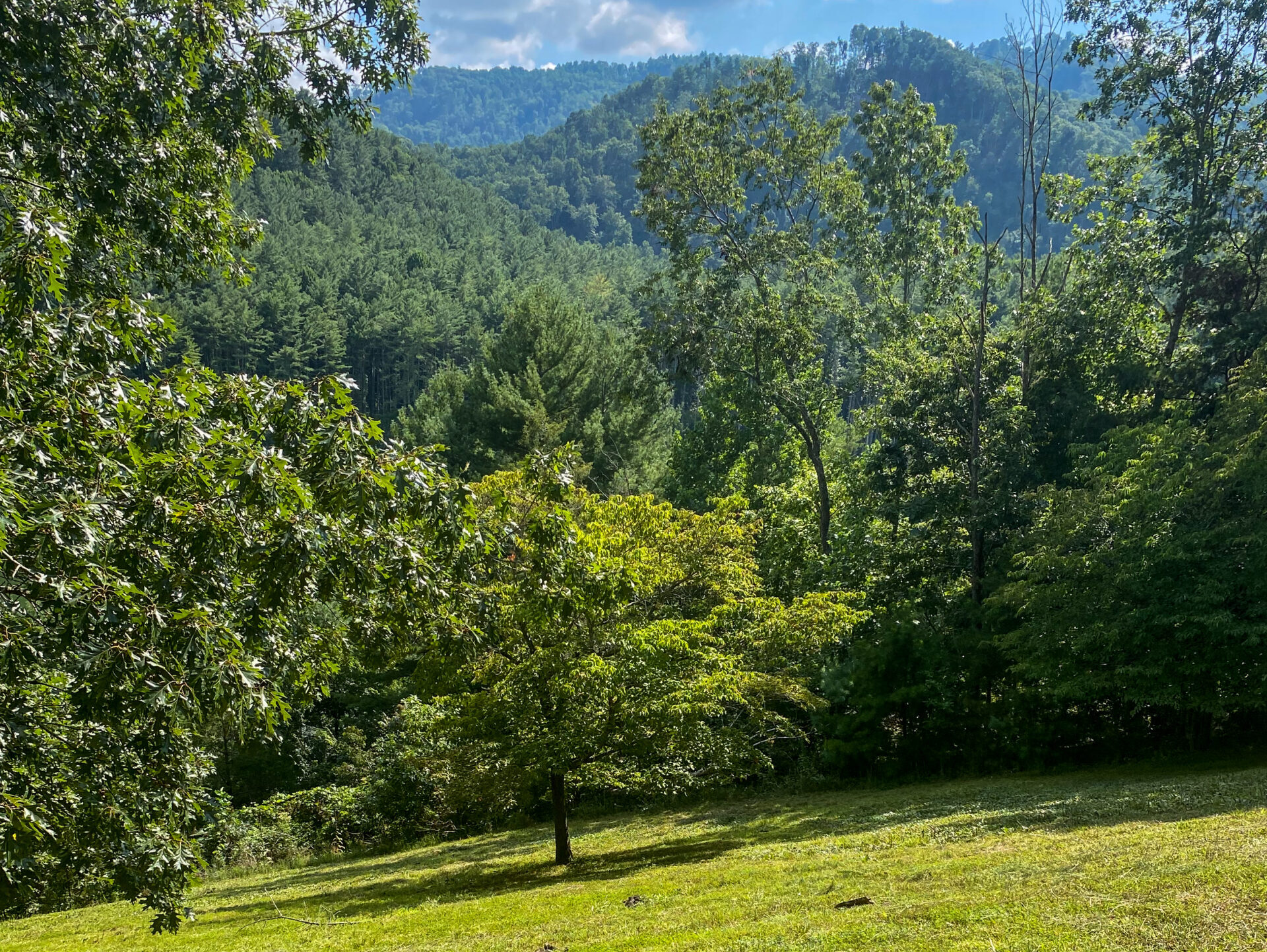 115 Lonesome Pine at Watauga Lake Mountain Views